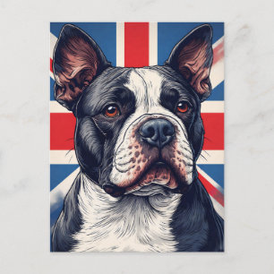Staffordshire Bull Terrier United Kingdom Postcard