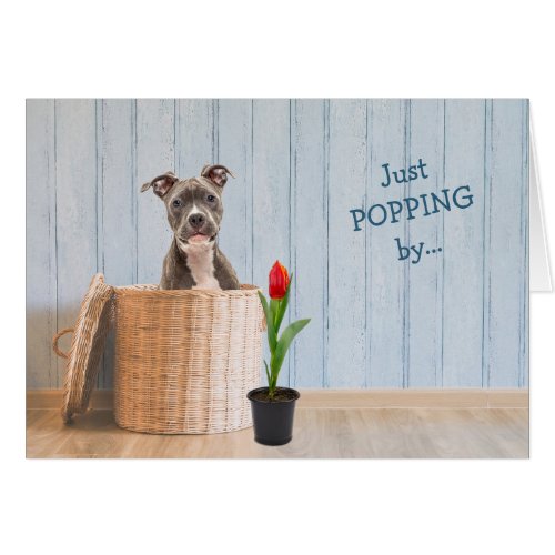 Staffordshire Dog Wicker Basket Birthday Card