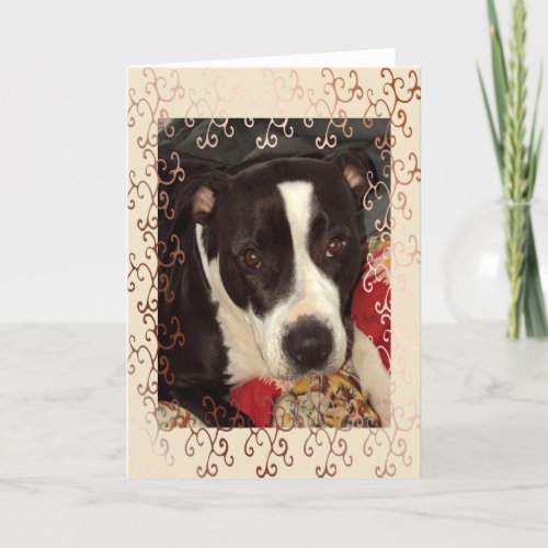 Staffordshire Terrier Blank Card