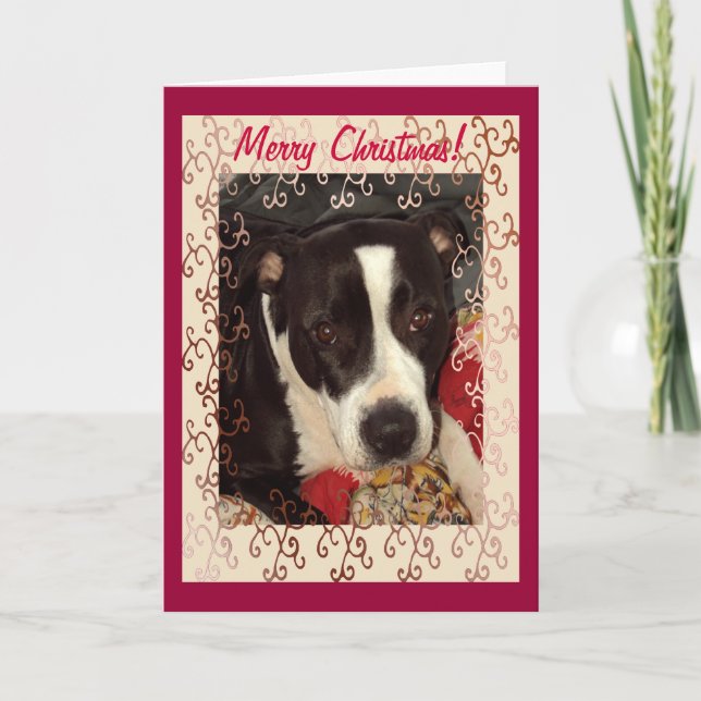 Staffordshire Terrier Merry Christmas! Holiday Card (Front)