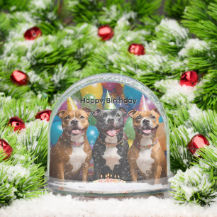 Staffy Celebration: A Birthday Party with Cake Snow Globe