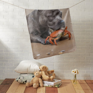 Staffy Is Friends With A Beach Crab, Baby Blanket