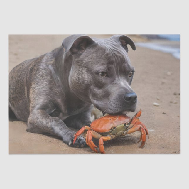 Staffy Is Friends With A Beach Crab, Tissue Paper (Front)