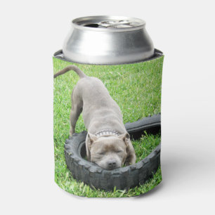 Staffy Playing With Tyre, Can Cooler