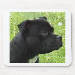 staffy.png mouse pad