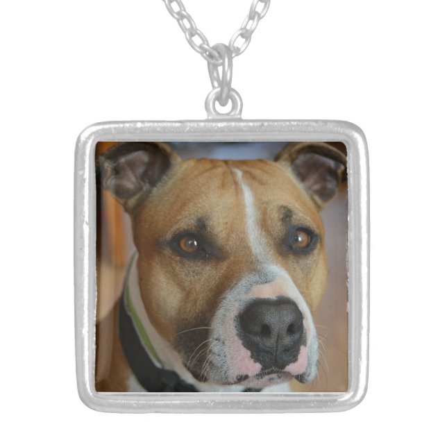 staffy.png silver plated necklace (Front)
