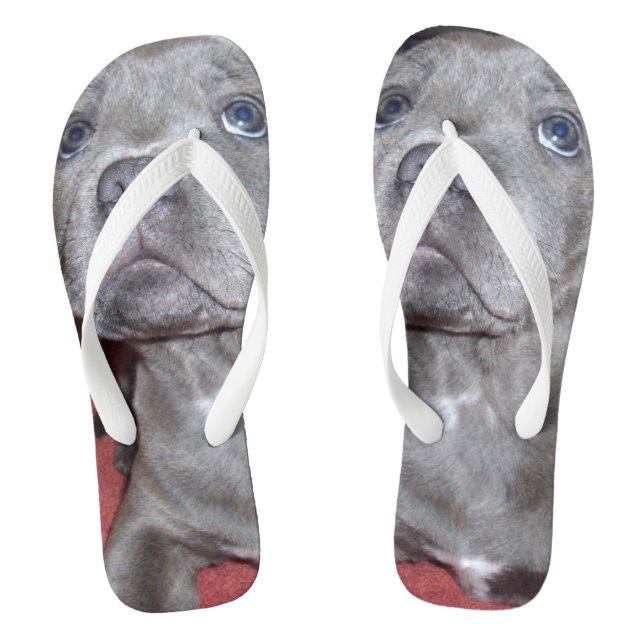Staffy Puppy Sooky Eyes, Flip Flops (Footbed)