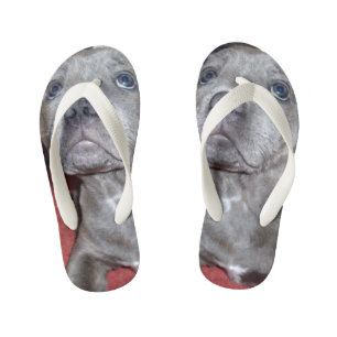 Staffy Puppy Sooky Eyes, Kid's Flip Flops