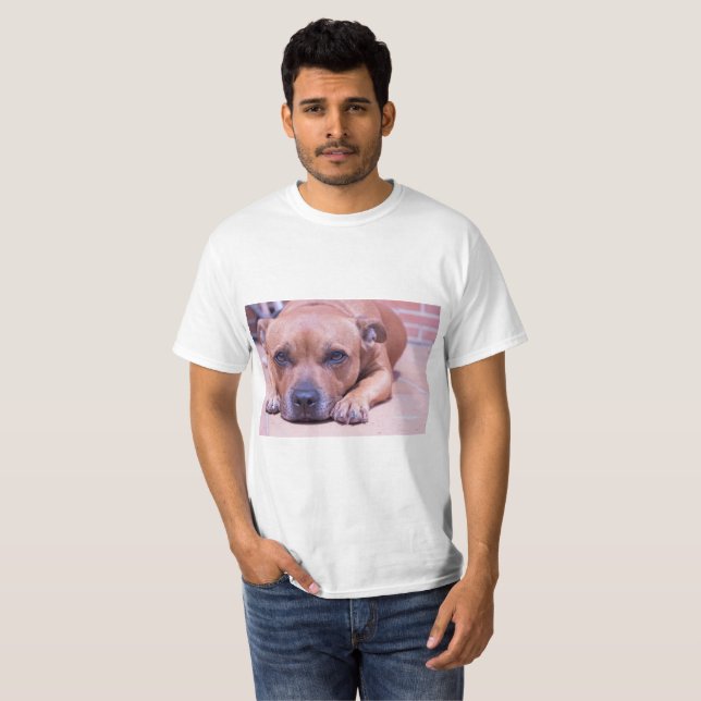 Staffy shirt (Front Full)