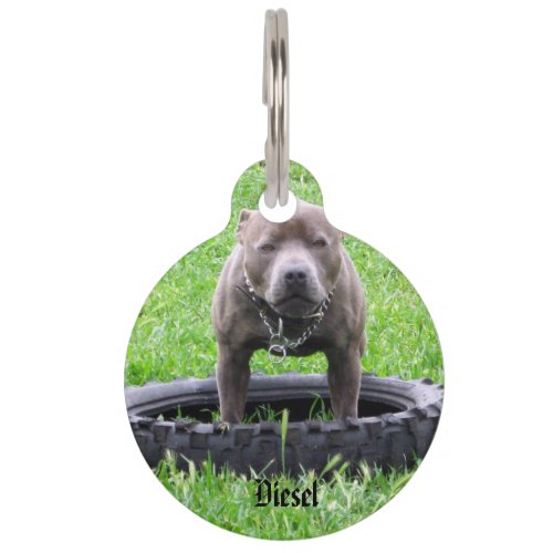 Staffy With Diesel Name Logo Pet ID Tag