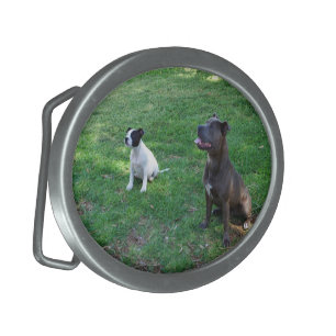 Staffys Waiting For Tasty Treats, Belt Buckle
