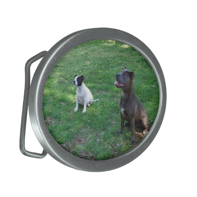 Staffys Waiting For Tasty Treats, Belt Buckle (Front Left)