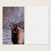 stag_ (Front & Back)