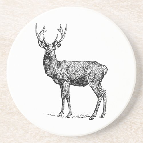 Stag 02 coaster