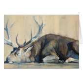 Stag 2014 (Front Horizontal)