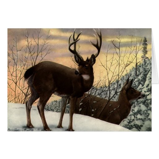 Stag and Doe Card | Zazzle