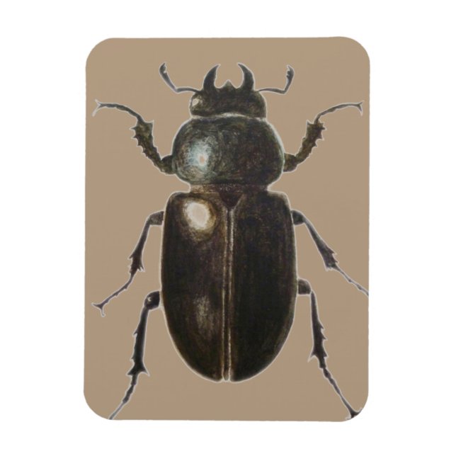 Stag Beetle 2011 Magnet (Vertical)