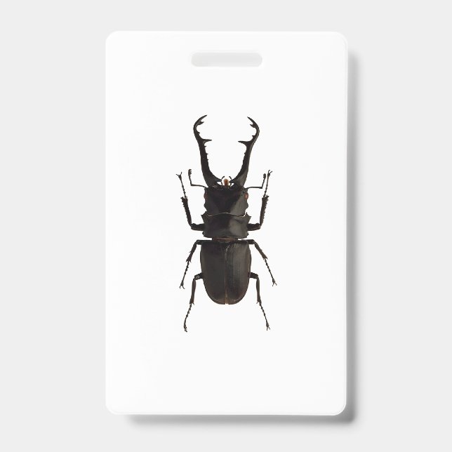 Stag Beetle Badge (Front)