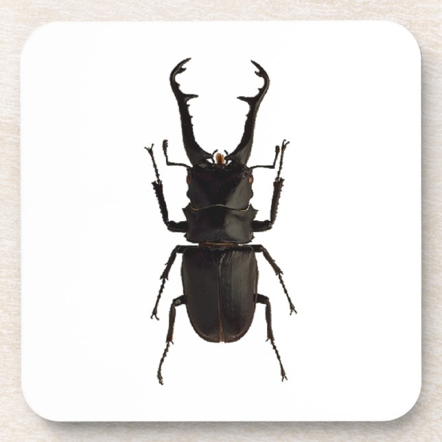Stag Beetle Beverage Coaster (Front)