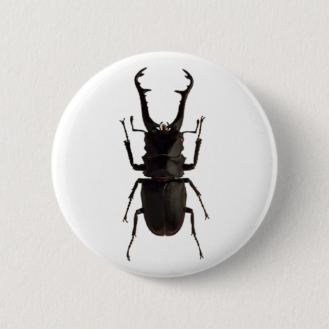 Stag Beetle Button (Front)