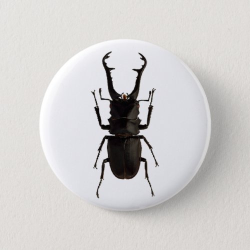 Stag Beetle Button