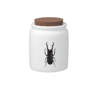 Stag Beetle Candy Jar
