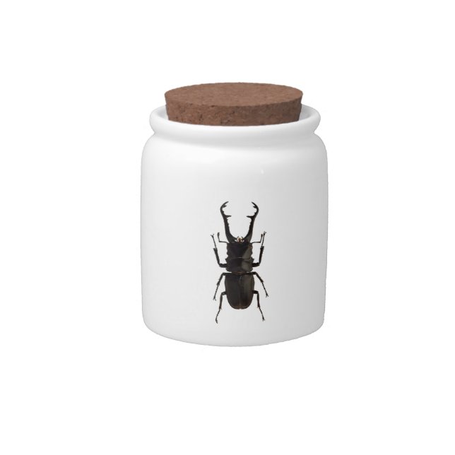Stag Beetle Candy Jar (Front)