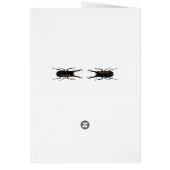 Stag Beetle Cards (Back)