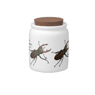 Stag beetle cartoon illustration candy jar
