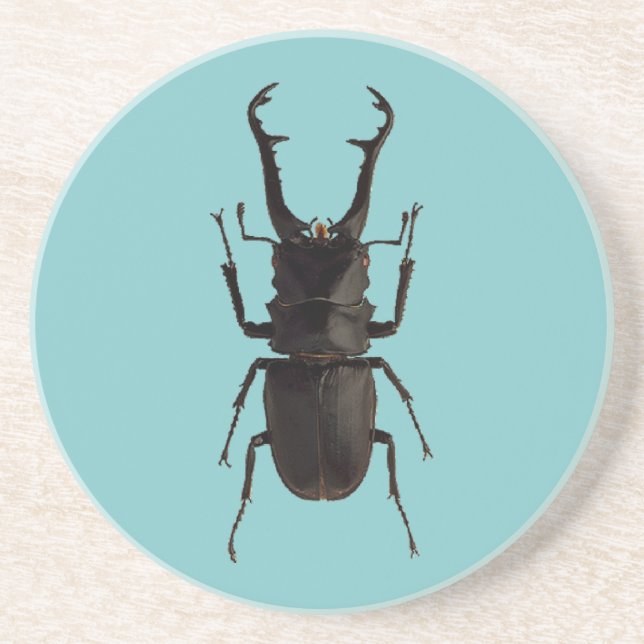 Stag Beetle Coaster (Front)