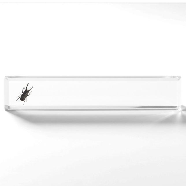 Stag Beetle Desk Name Plate (Front)