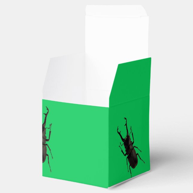 Stag Beetle Favor Boxes (Opened)
