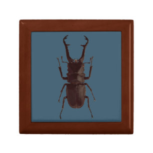 Stag Beetle Gift Box