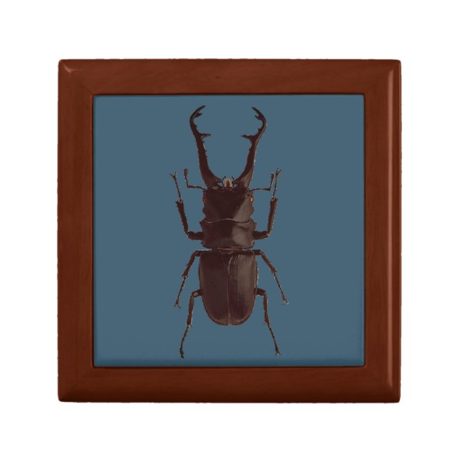 Stag Beetle Gift Box (Front)