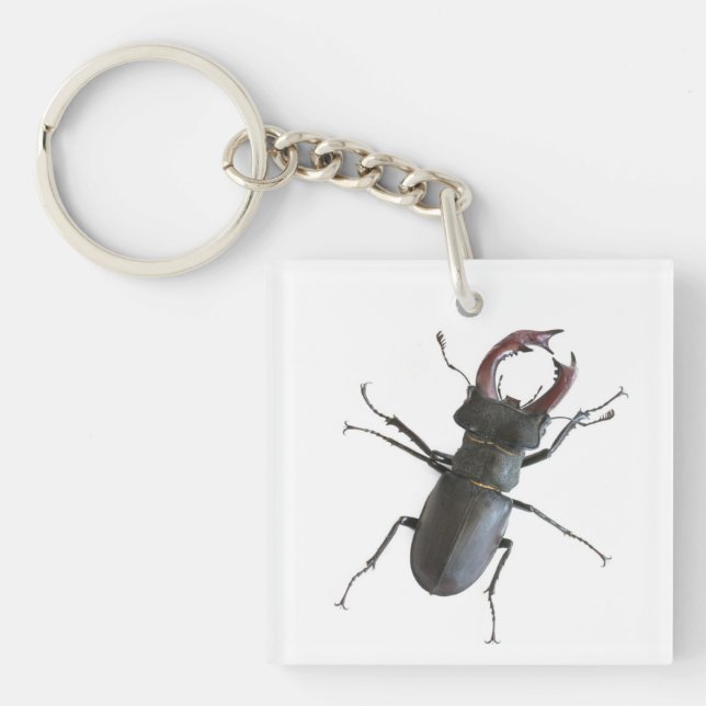 Stag beetle keychain (Front)
