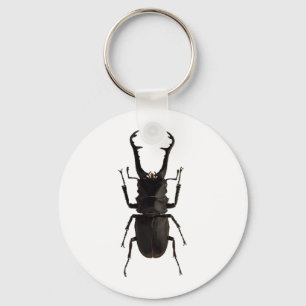 Stag Beetle Keychain