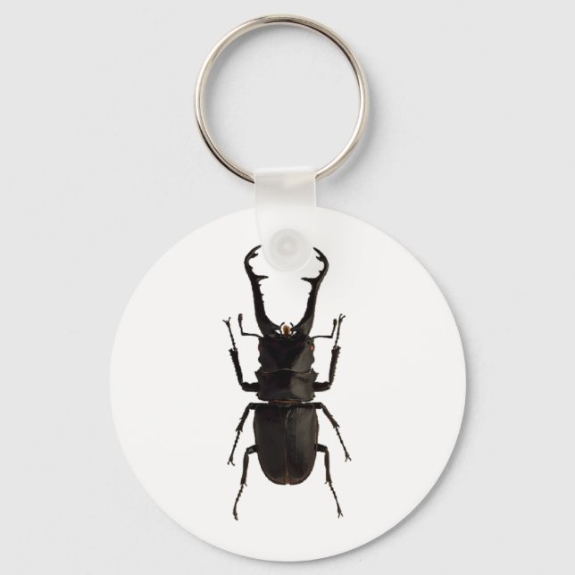 Stag Beetle Keychain (Front)