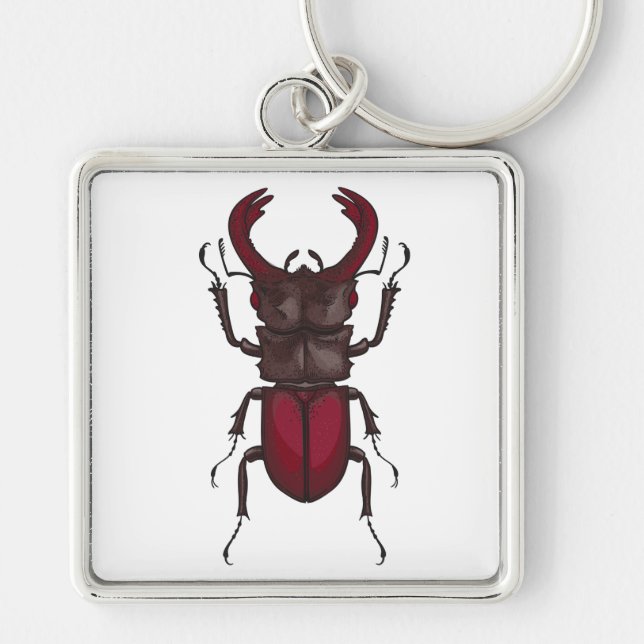 Stag beetle keychain (Front)
