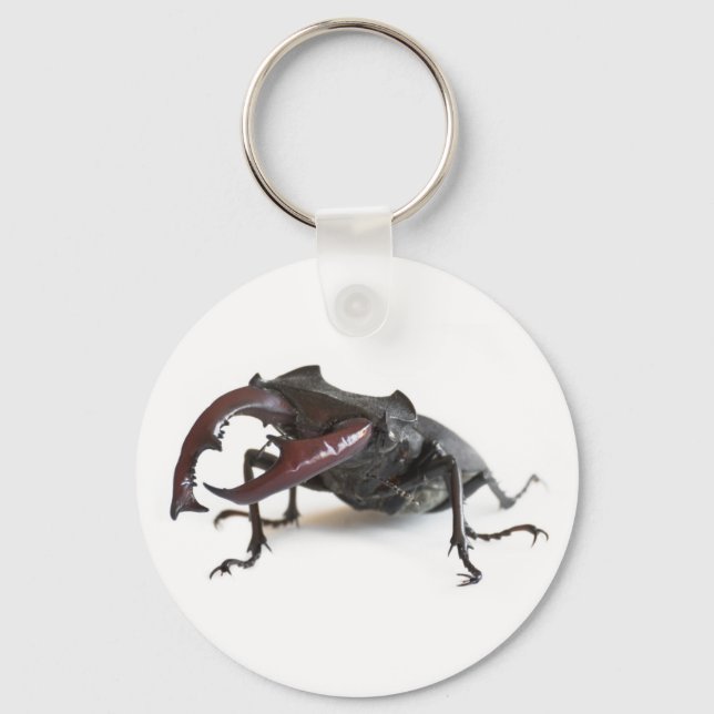 Stag beetle keychain (Front)