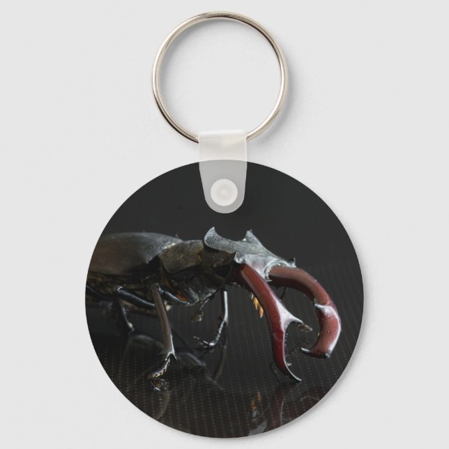 Stag beetle keychain (Front)