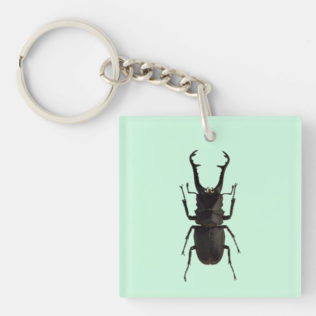 Stag Beetle Keychain (Front)