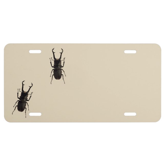 Stag Beetle License Plate (Front)