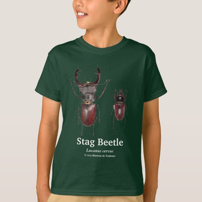 Stag Beetle,Lucanus cervus T-Shirt (Front)