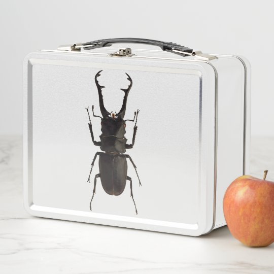 Stag Beetle Metal Lunch Box Zazzle Com