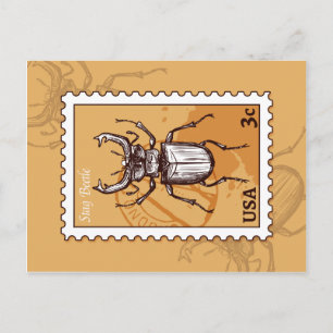 Stag Beetle Postcard
