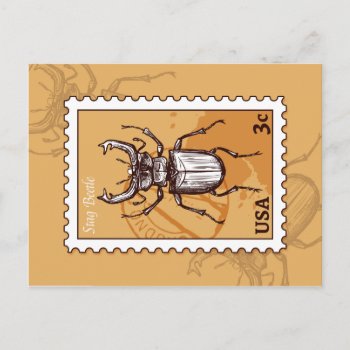 Stag Beetle Postcard by Zazzlemm_Cards at Zazzle