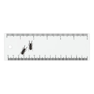 Stag Beetle Ruler