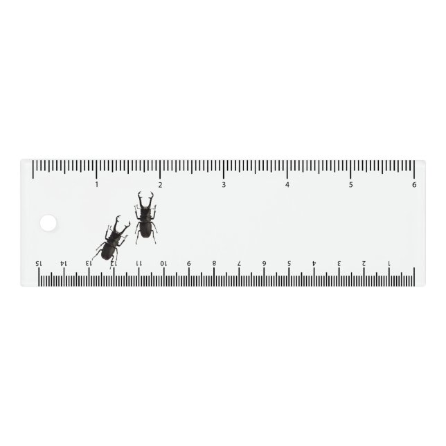 Stag Beetle Ruler (Front)