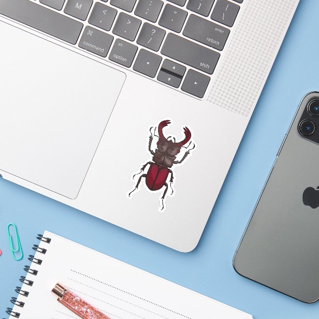 Stag beetle sticker (Laptop w/ iPhone)