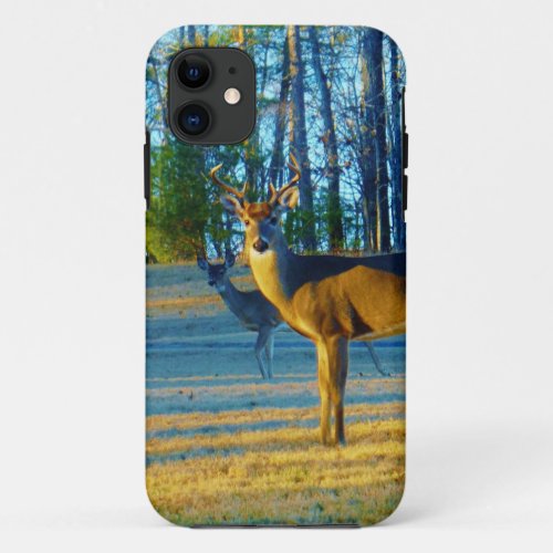 Stag  Buck  Deer Bright blue Sky iPhone 11 Case
